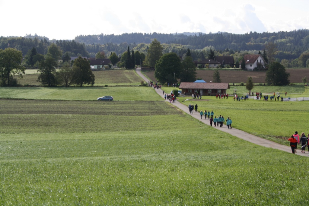 Bild 1 (40)
